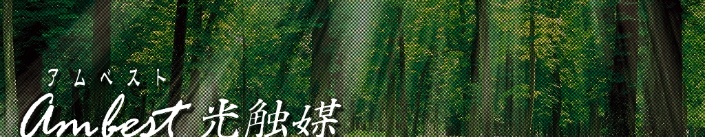 ambest head banner